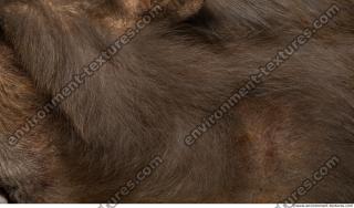 monkey skin fur  0004